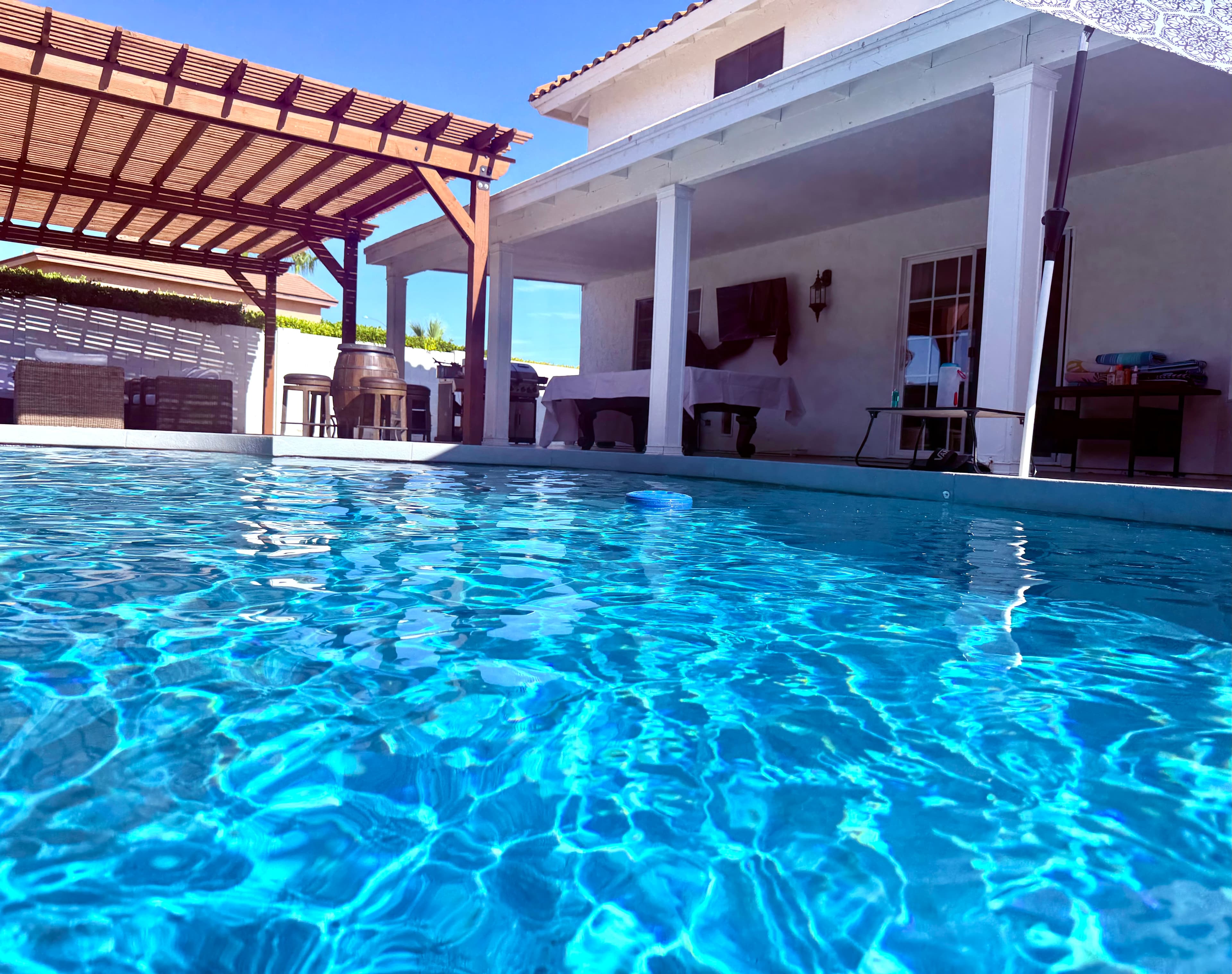 Clear backyard swimming pool after service